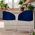 Kit 02 Poltronas Banqueta Decorativa Estofada Tecido Veludo B