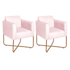 Kit 02 Poltronas Decorativas Andréia Base X Bronze Suede - Ro