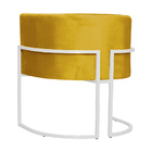 Kit 02 Poltronas Luana Luxo Base Branca Veludo Cores - Ds Est