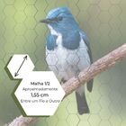 Kit 02 Rolos Tela Galvanizada Viveiro 1 00x25 Metros - Fio 26