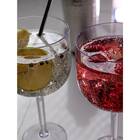 Kit 02 Taças De Gin Acrílico Ps 600ml Uz-k045 Uz Utilidades -