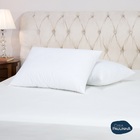 Kit 02 Travesseiros Toque De Pluma Pena Percal 180 Fios 50x70