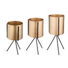 Kit 03 Cachepot Metálico Dourado Com Suporte Preto - D'rossi