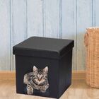 Kit 03 Puffs Pet Baú Casinha Desmontável Dobrável Corino Pret