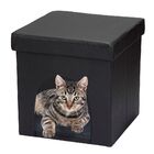 Kit 03 Puffs Pet Baú Casinha Desmontável Dobrável Corino Pret