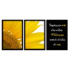 Kit 03 Quadros Decorativos "motivação" 43x33 Cm Cada - D'rossi