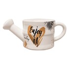 Kit 03 Vasos Regador Decorativo Em Cerâmica D'rossi