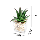Kit 06 Suculentas Artificiais Sortidas Com Vasos 13cm - D'ros