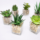 Kit 06 Suculentas Artificiais Sortidas Com Vasos 13cm - D'ros