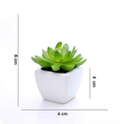 Kit 06 Suculentas Artificial Sortida Vaso Branco 8x4 Cm - D'r