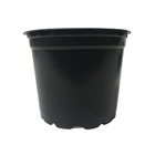 Kit 100 Pote Holambra Nº 06 Vaso Flexível Preto 5x5cm - Preto
