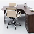 Kit 10 Cadeiras Escritório Diretor Esteirinha Corino Manhattan