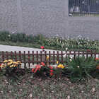 Kit 10 Cercas De Madeira Para Jardim 50x40cm Modelo Madetop P