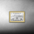Kit 10 Certificados/diplomas A4 Com Tela De Acetato E Mdf - M
