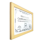 Kit 10 Diplomas Premium Madeira A4 Com Tela De Acetato E Mdf