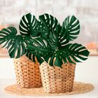 Kit 10 Hastes De Costela De Adão Artificial Plantas Realistas