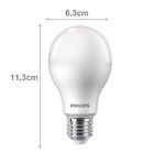 Kit 10 Lâmpada Led Philips 16w Branco Frio 6500K E27 Equivale
