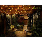 Kit 10 Lâmpadas Filamento Led Bg-45 E27 2w 2700k 220v