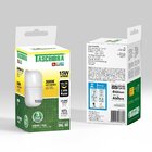 Kit 10 Lâmpadas Led Bulbo Tkl 15w Taschibra E27 Bivolt 3000k