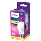 Kit 10 Lâmpadas Philips Led Bulbo A65 16w 3000k