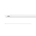 Kit 10 Lâmpadas Tubo Led T8 20,5w 120cm G13 Taschibra Bivolt