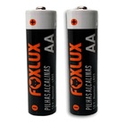 Kit 10 Pilha Alcalina Foxlux Pequena Aa