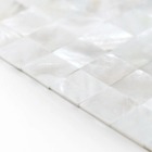 Kit 10 Placas - Pastilhas De Madrepérola Alasca