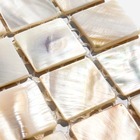 Kit 10 Placas - Pastilhas De Madrepérola Naturale