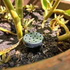 Kit 10 Porta Adubo Npk Pequeno P/ Plantas Bonsai E Orquídeas