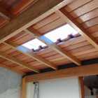 Kit 10 Telhas Pet Plástica Americana