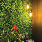 Kit 10 Unidade Revestimento Parede Quadro Jardim Vertical Art