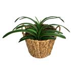 Kit 12 Galhos Folha De Orquídea Artificial Com Arame Interno