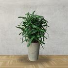 Kit 12 Galhos Folha De Orquídea Artificial Com Arame Interno