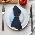 Kit 12 Guardanapos Rafia 38x38 Marinho