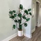 Kit 18 Costelas De Adão Artificiais (55cm) Folhagens Permanen