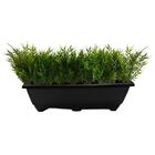 Kit 20 Buques De Bambu Artificial Plantas Realistas Decoração