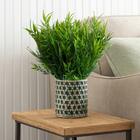 Kit 20 Buques De Bambu Artificial Plantas Realistas Decoração