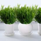 Kit 20 Buques De Bambu Artificial Plantas Realistas Decoração