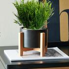 Kit 20 Buques De Bambu Artificial Plantas Realistas Decoração