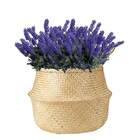 Kit 20 Buquês De Lavanda Artificial (46cm) Decoração Permanen