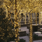 Kit 20 Cordão 100 Led Fixo Branco Morno Fio Verde Blindado 22