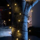 Kit 20 Cordão 100 Led Fixo Branco Morno Fio Verde Blindado 22