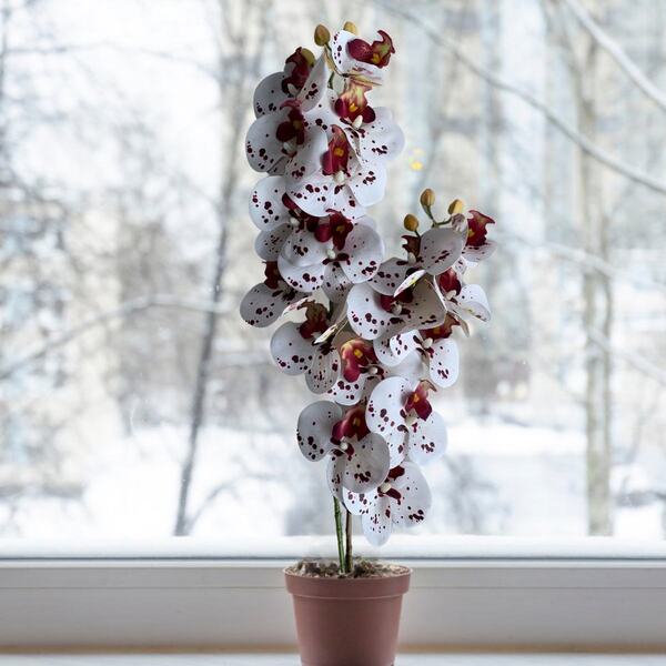 Kit 20 Flores Orquídeas Branca Artificial Realista Com Tons D