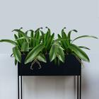 Kit 20 Galhos De Folhas De Orquídea Artificial  - Produto Fle