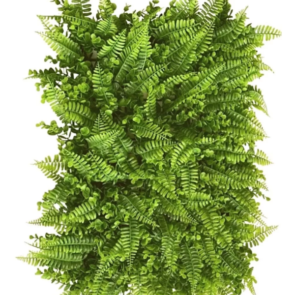 Kit 20 Placas De Samambaia Eucalipto 40 X 60cm Muro Inglês Ja