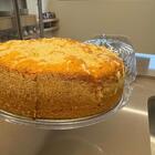 Kit 24 Bandejas Redondas 34cm Poliestireno Doce Salgado Buffe