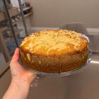 Kit 24 Bandejas Redondas 34cm Poliestireno Doce Salgado Buffe