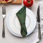 Kit 24 Guardanapos Rafia 38x38 Verde