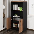 Kit 2 Armários Multiuso Para Escritório Com Armário Fechado E