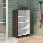 Kit 2 Armários Organizador Multiuso Rosana 2 Portas Castanho